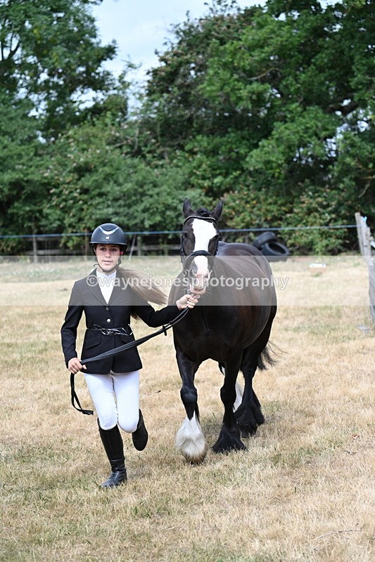 WJ7_1669 - Class 4 Prettiest Mare up to 14.2hh in hand