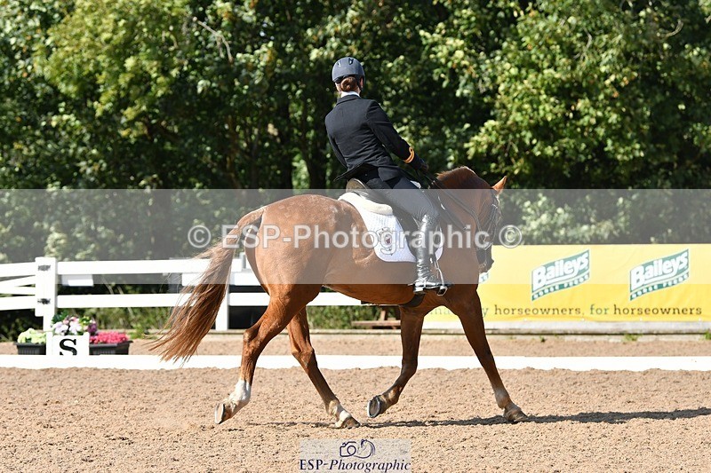 250906-154901-04447 - 122-India.JohnGrayswood.Orlando