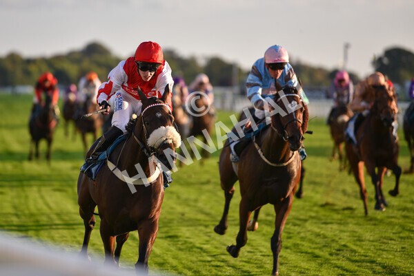 yr07102022r7-32 - Race 7 5.35pm IRE Incentive, It Pays To Buy Irish Stakes