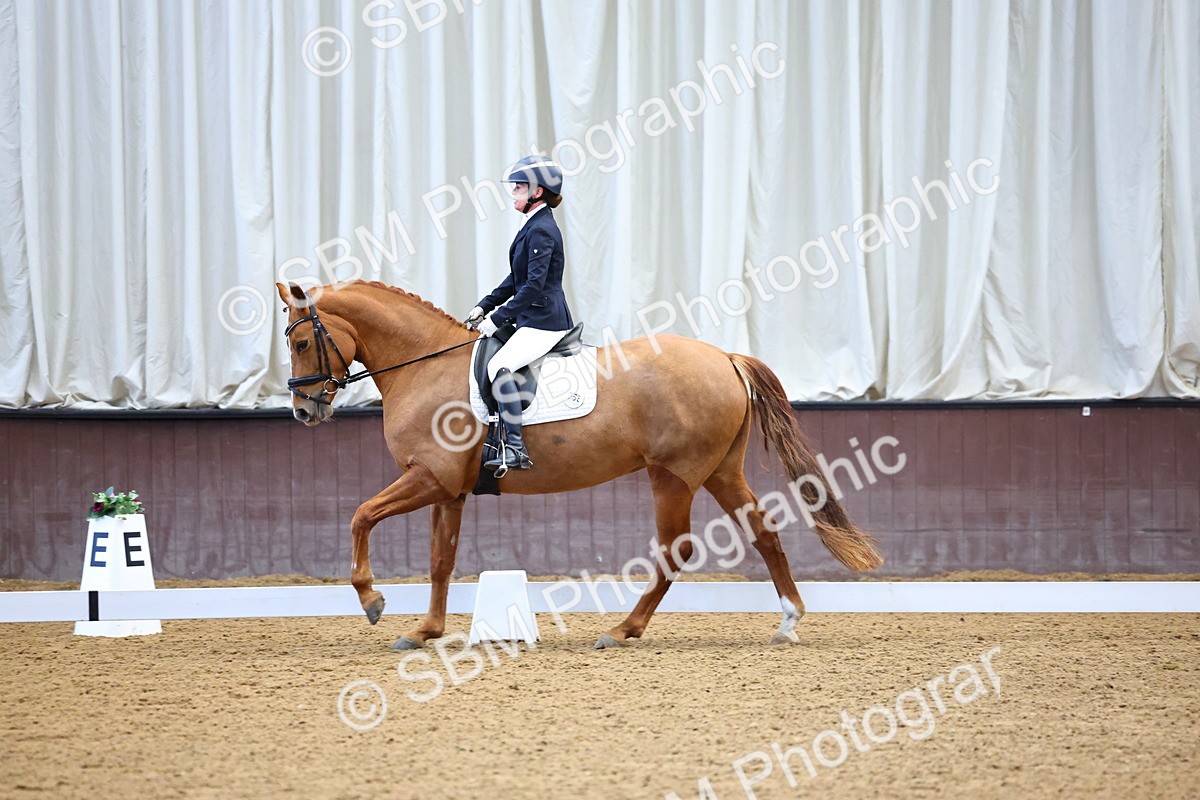 026A1556 - Class 4 - Novice 4