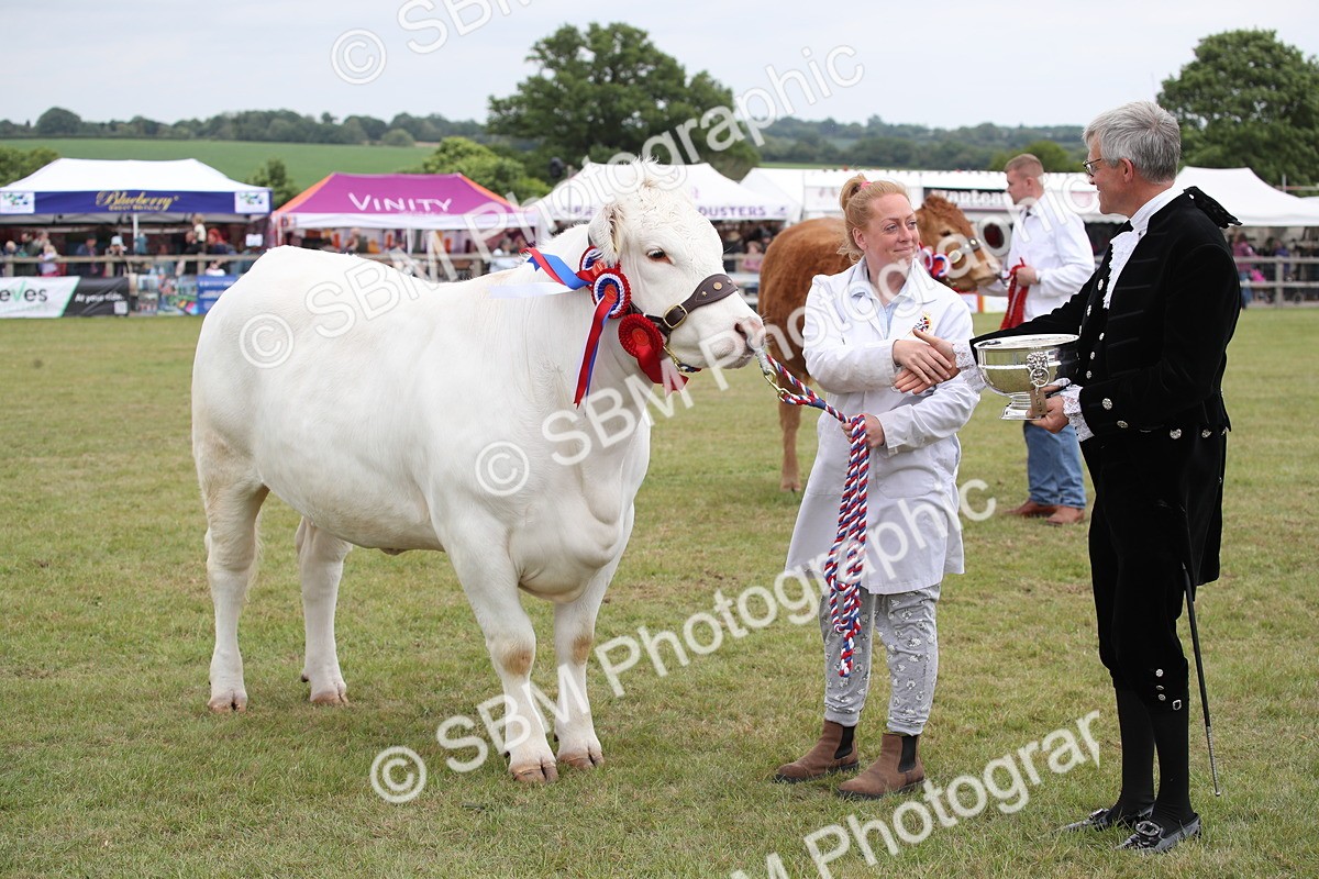 SBM_07916 - Grand Parade