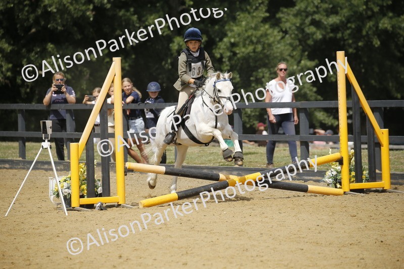 20250622-3964 - 50cm