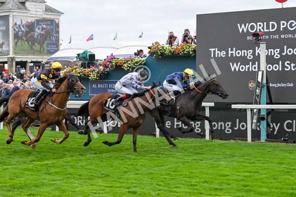 200825-Race 1-Trefor-1106 - Race 1 1.50pm Hong Kong Jockey Club World Pool Handicap