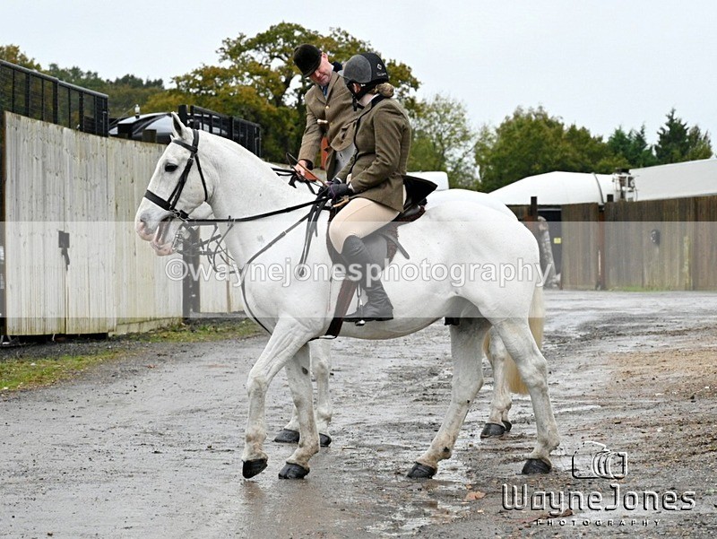 WJ7_7999 - Berks & Bucks Blackcroft Farm 20-10-24