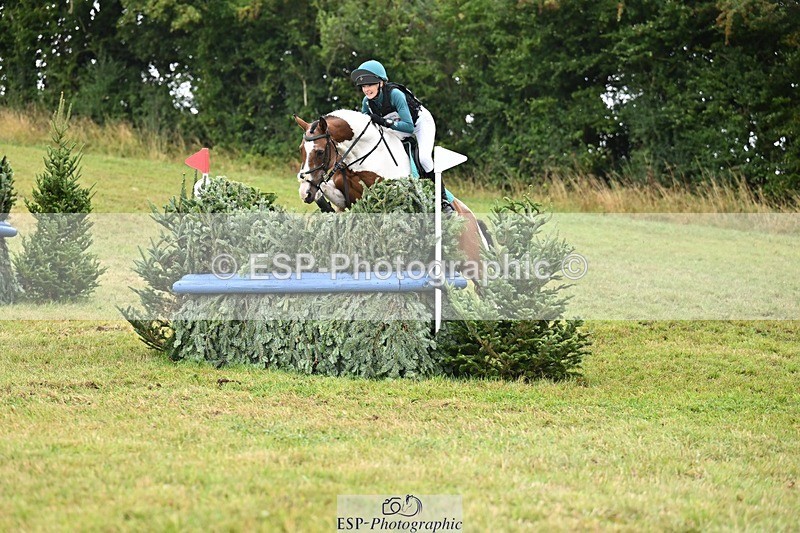 TS_b1720576 - SAT BE 90 Recovered Files fence 8