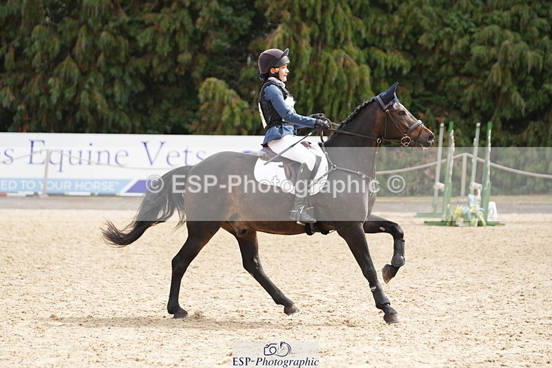 250824A-121453-35889 - 2053-Ava.Sampson-Chameleon