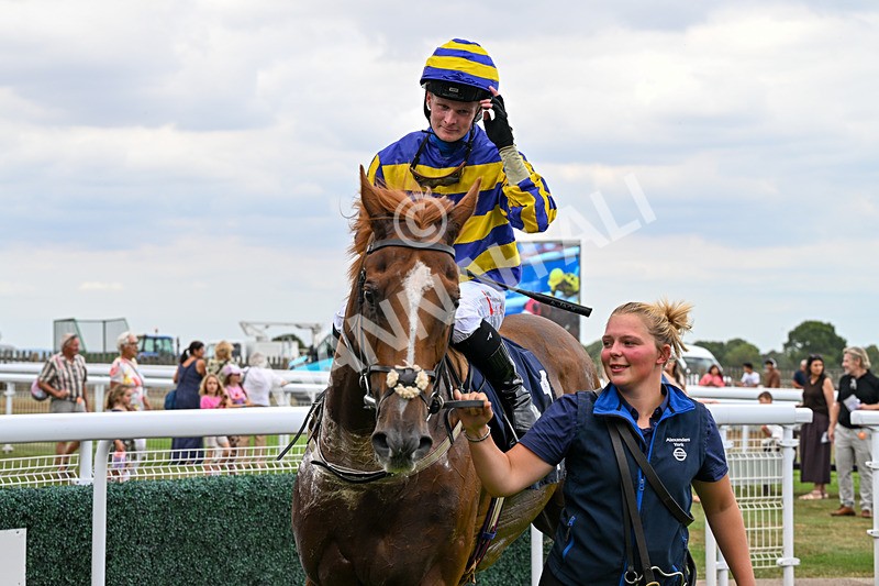 280726-Race 6-Azuinthejungle-1788 - Race 6 16.30pm It's Ladies Day Next On 12 August Handicap