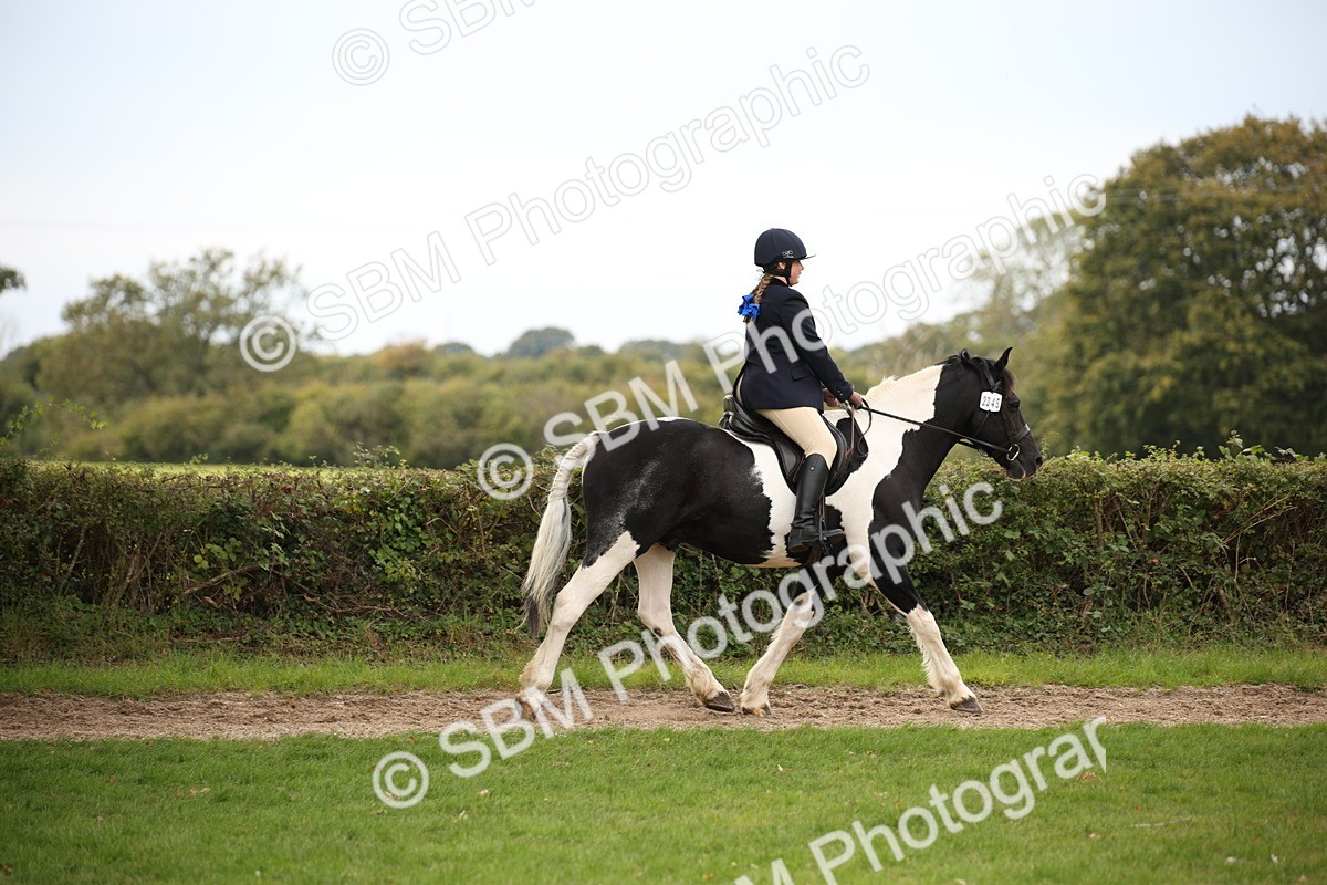 SBM_72350 - S67 - Show Cob Ridden