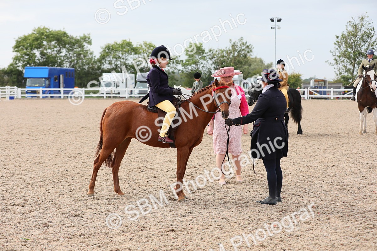 SBM_16893 - Class 314 Family Horse/Pony