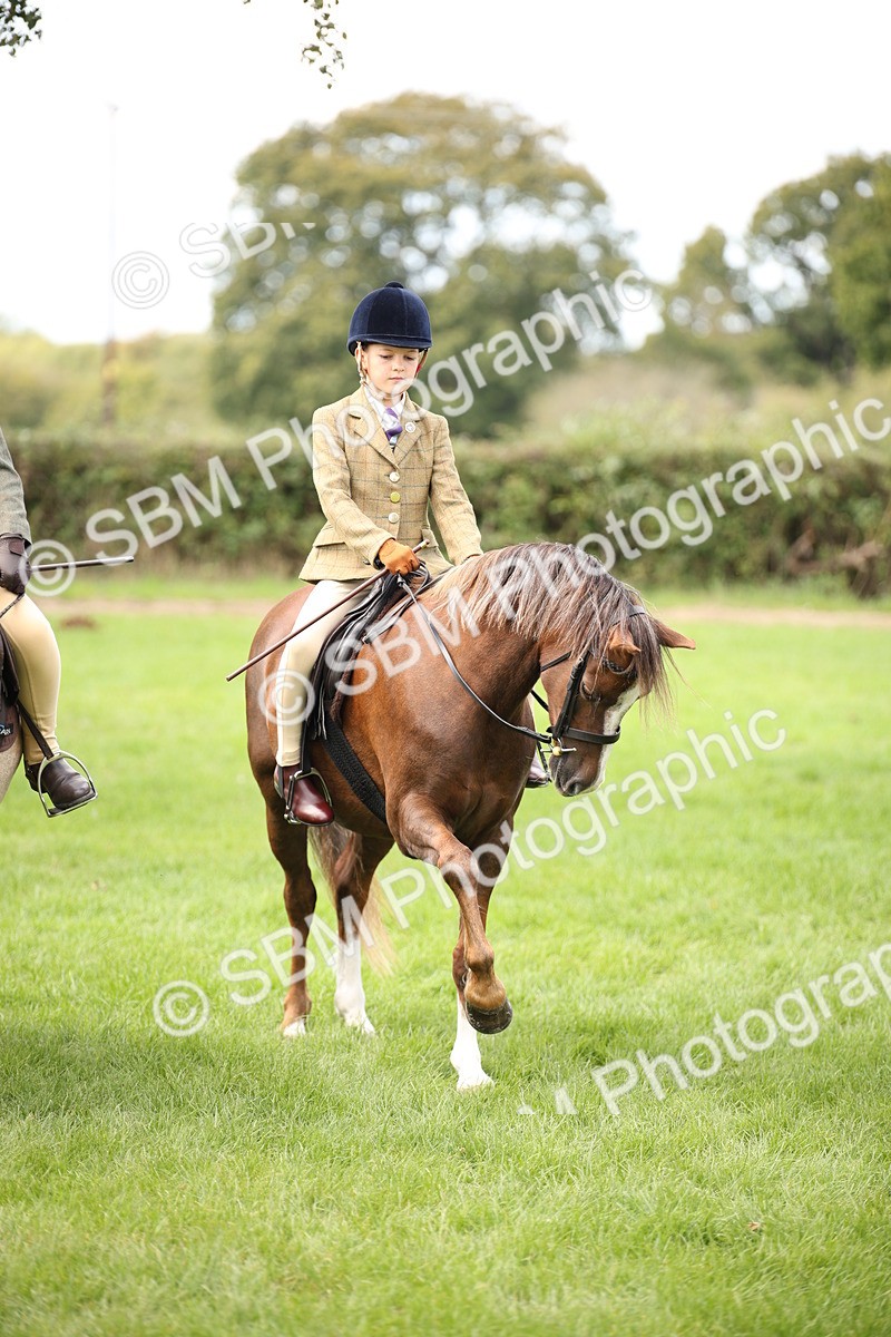 SBM_42376 - S13 - Pony Club Pony