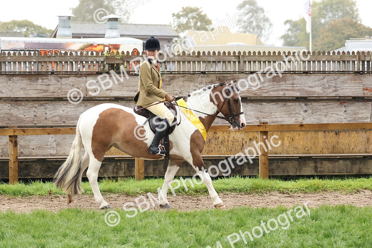 SBM_73088 - Ridden Pony Supreme Championship