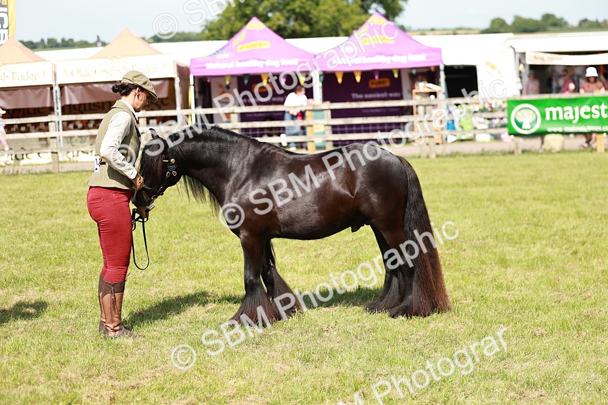 SBM_08592