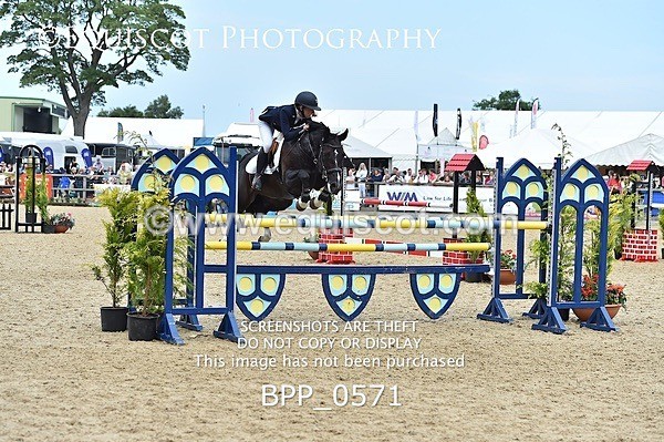 BPP_0571 - RHS 2019 Selection - *Just some random spectator shots so Lucky Dip if you are there!