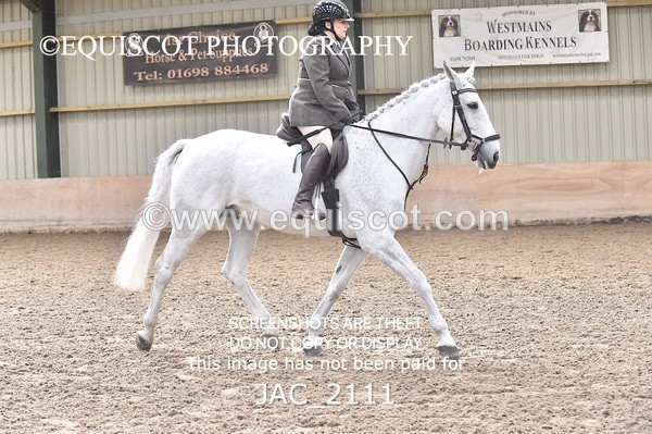 JAC_2111 - CLASS 1 Nursery Novice Working Hunter