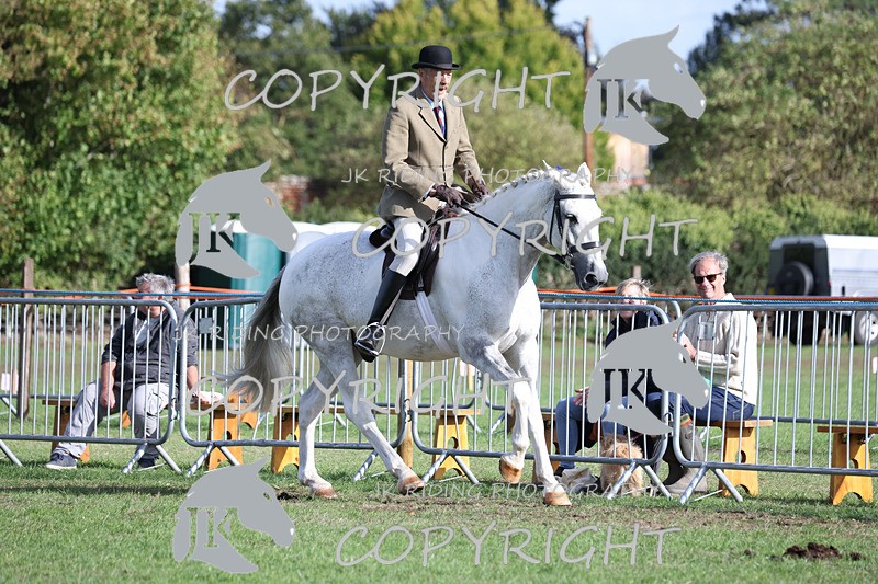 APP_4209 - Class 15a/b Pony club pony/Riding club horse