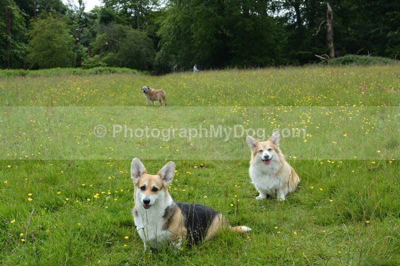  - Eric, Ulla, Maisie and Lola