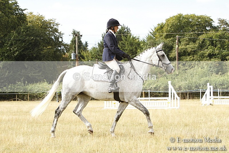 _BS_0442 - BVRC Show 2018 Ring 3