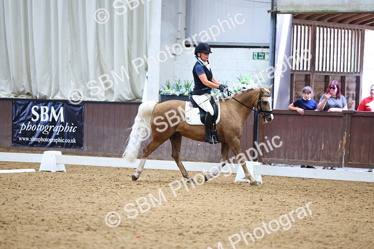 SBM_005564 - Elementary 2