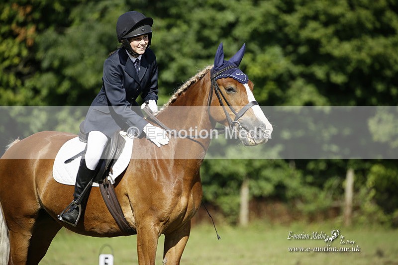 BVRC 120921 213 - Bourne Valley Riding Club UA Dressage & Show Jumping 12/09/21