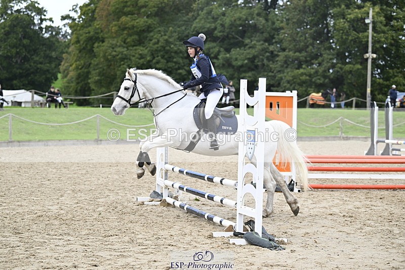 251005A-130712-04061 - Cls 08 Mini 70-75cm