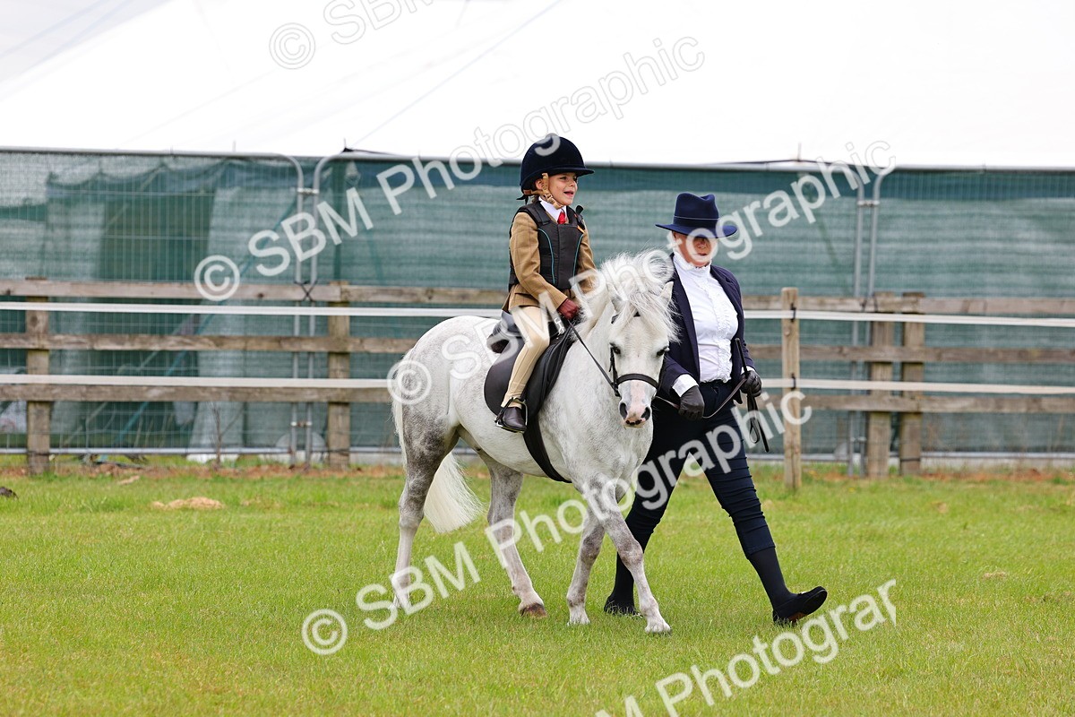 SBM_08142 - Class 42-43 - LIHS BSPS Heritage Working Sports Pony