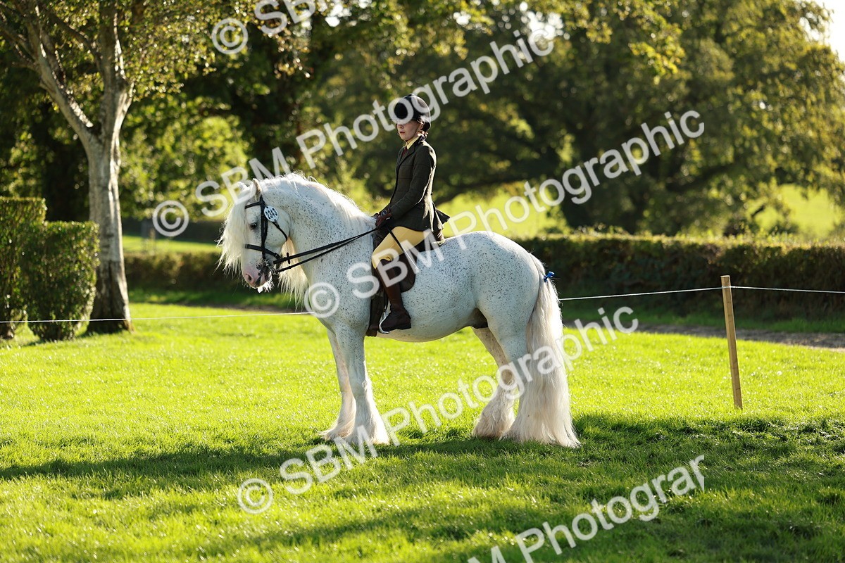 SBM_28730 - S7 - Novice & Newcomer Ridden Pony