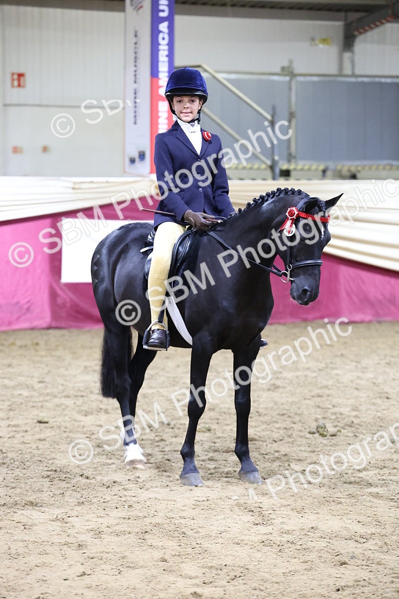 SBM_20935 - Class M - Equitation Champ