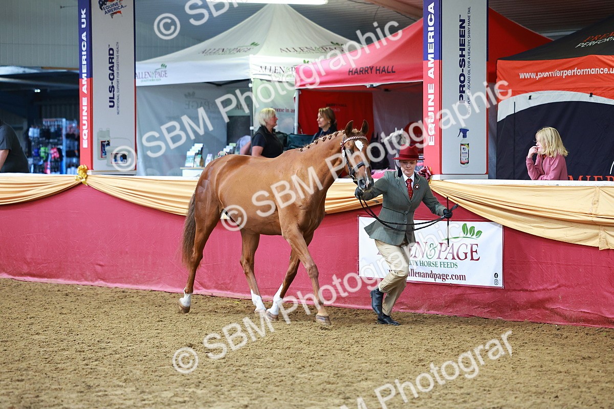 SBM_17250
