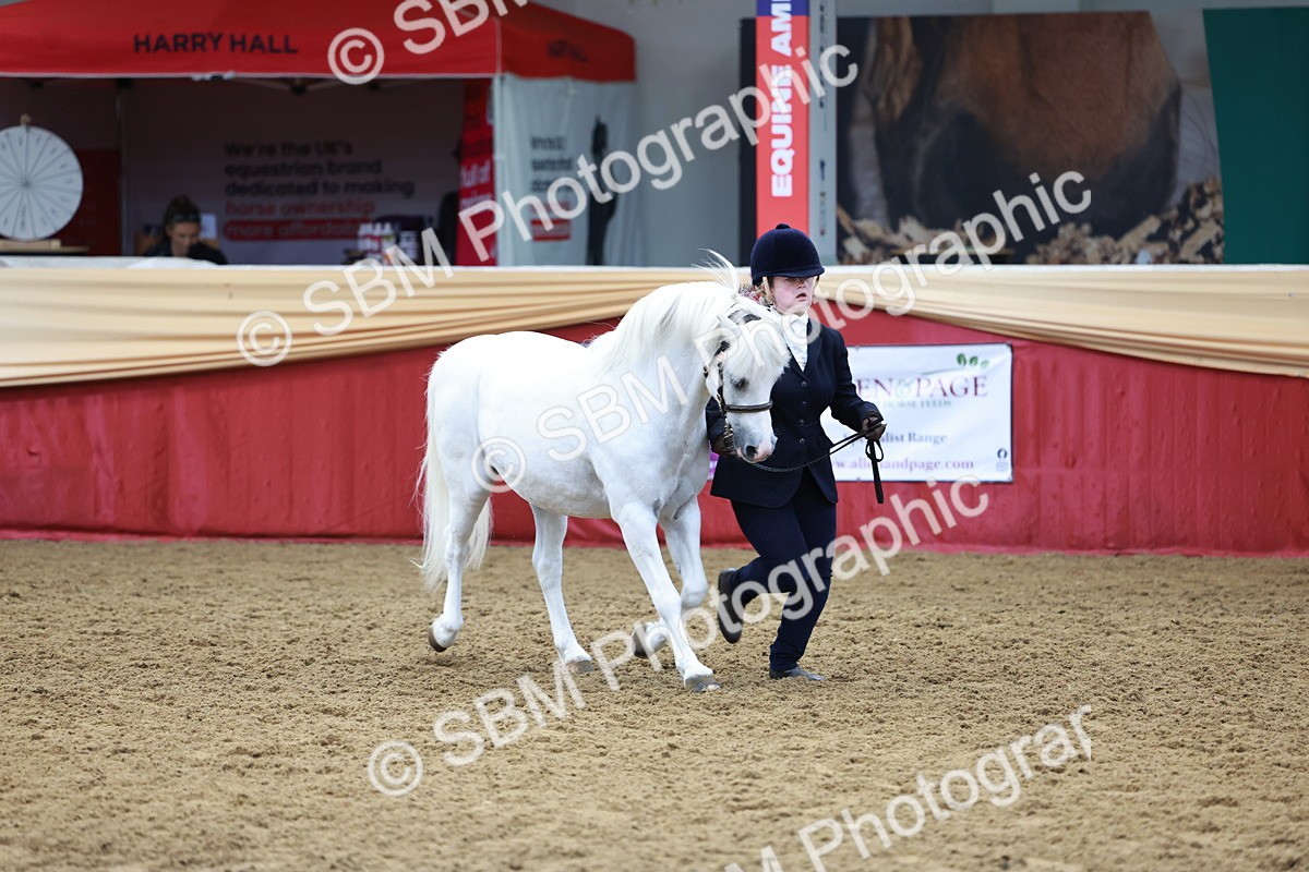 SBM_17385 - Class 951 - M&M IH Supreme Final