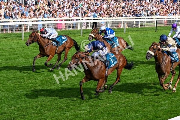 280625-Race 6-Dream Out Loud-0566 - Race 6 4.50pm Al Basti Equiworld Dubai Sprint Handicap