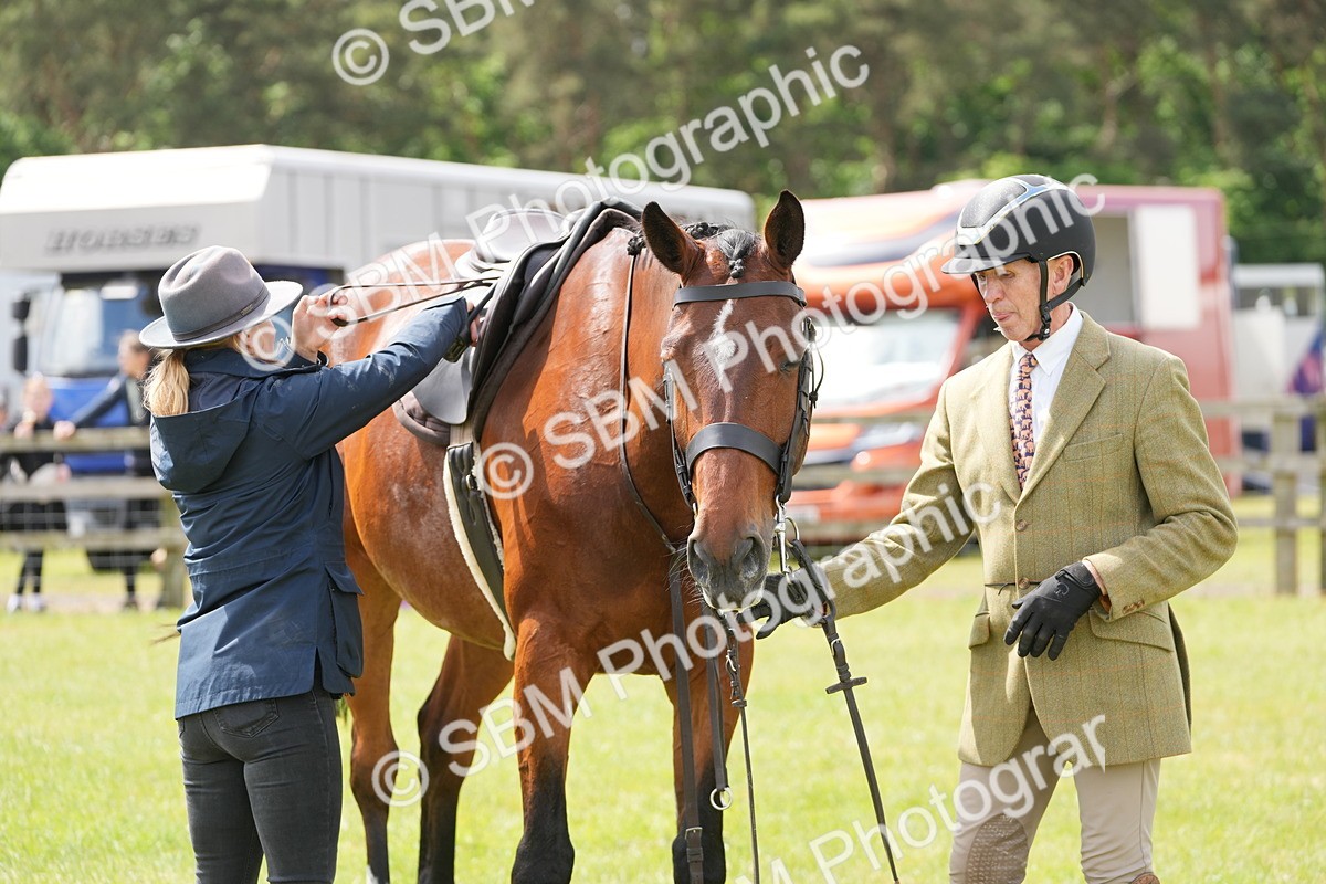 SBM_15034 - Class 100-102 - RIHS Working Hunter