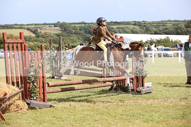 JPP_2160 - Class 19: Working Hunter 60cm