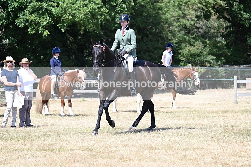 WJ7_3572 - Class 8 Ridden Veterans