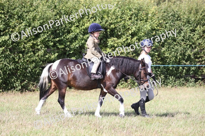 20260906-2738 - Class 25 - Absolute Beginners Pony