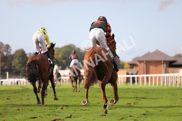 yr07102022r4-48 - Race 4 3.50pm William Hill Best Odds Guaranteed Stakes