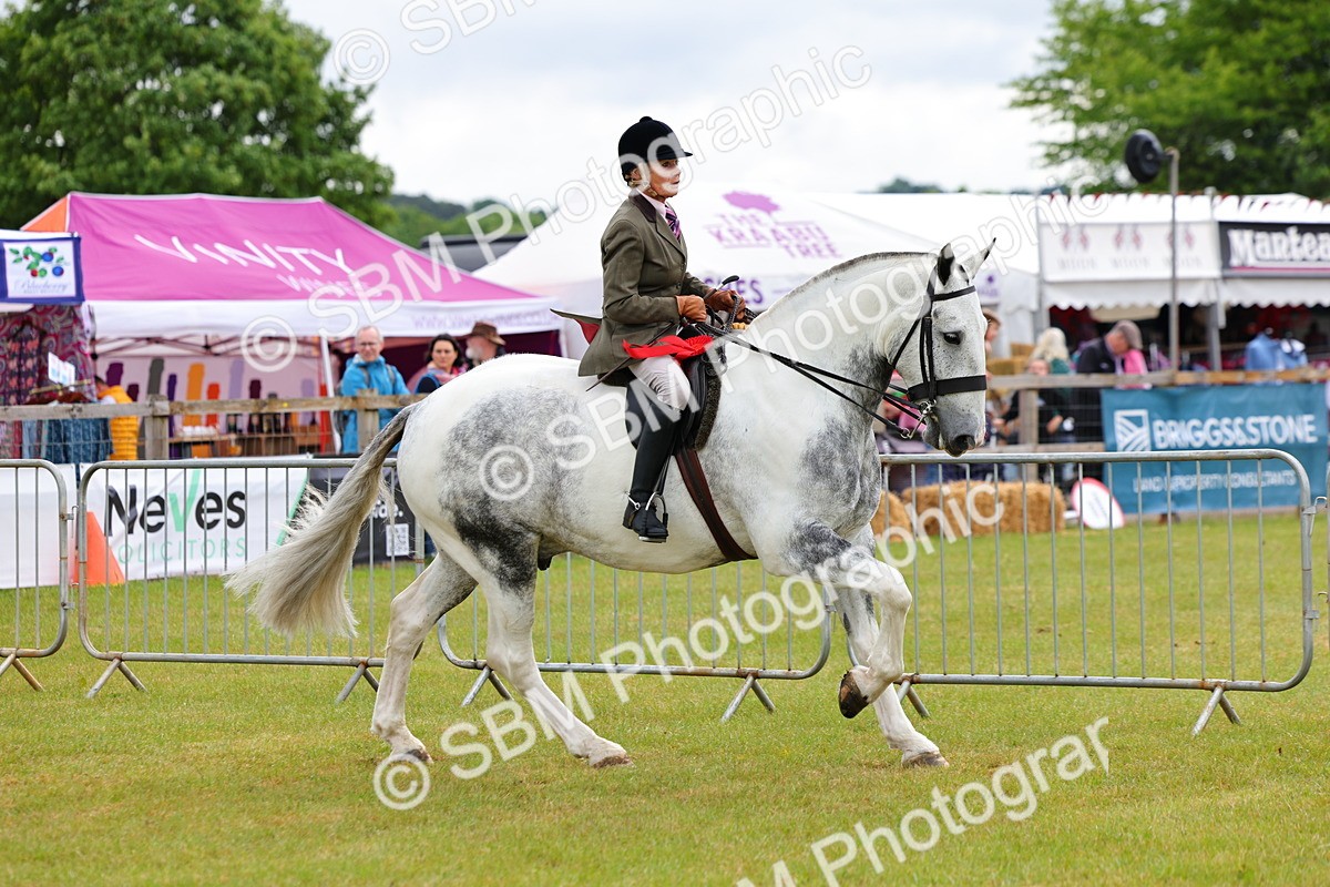 SBM_02566 - Class 9-11 Side Saddle including LIHS Rising Star Ladies Show Horse