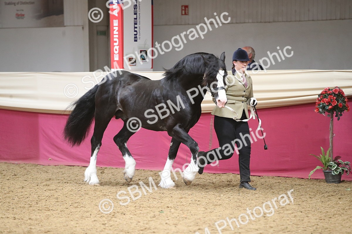 SBM_05270 - Class 8R - Regional IH Veteran