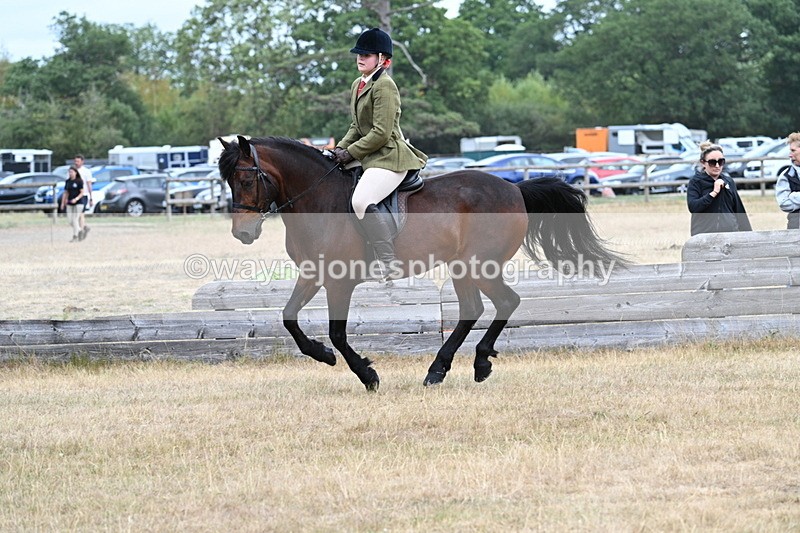 WJ7_0634 - Class 6 Ridden Mountain and Moorland