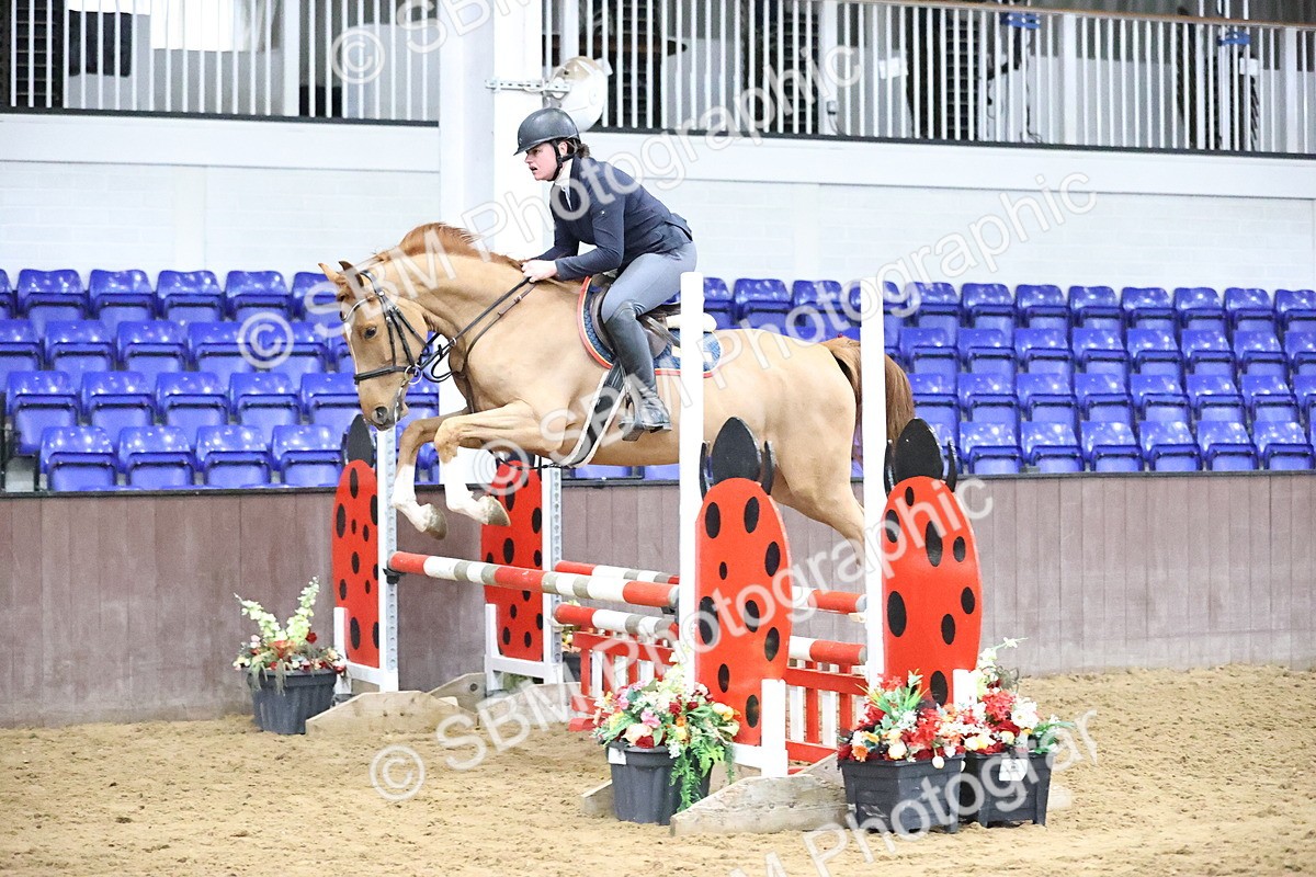 SBM_001319 - Class 8 - Senior British Novice - 90cm