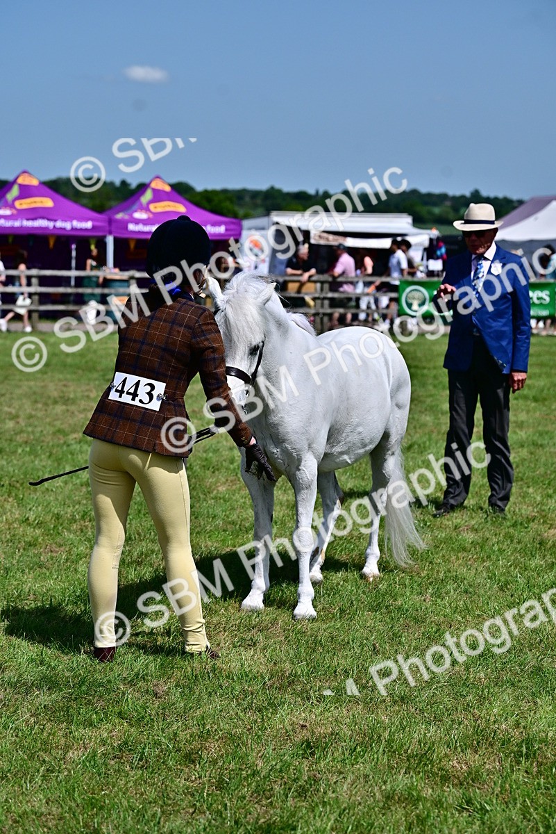 SBM_07811 - Class 61-62 - TSR  M&M Ridden Amateur of the Year