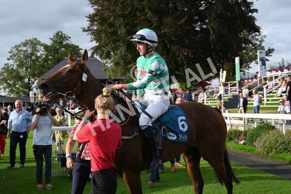 yr04092022r6-53 - Race 6 4.40pm Hanson Springs Stakes
