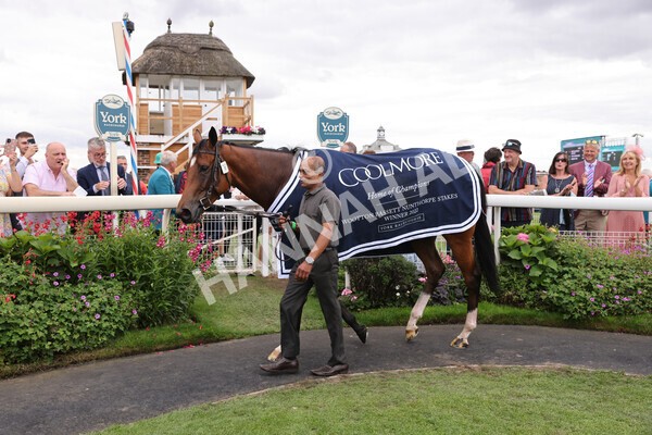 yr19082022r4-123 - Race 4 3.35pm Coolmore Wootton Bassett Nunthorpe Stakes (British Champion Series Race)