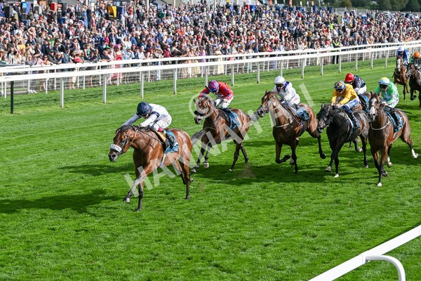 210825-Race 6-Stellar Sunrise-5201 - Race 6 4.45pm Mews Hotel Ossett EBF Stallions Nursery Handicap