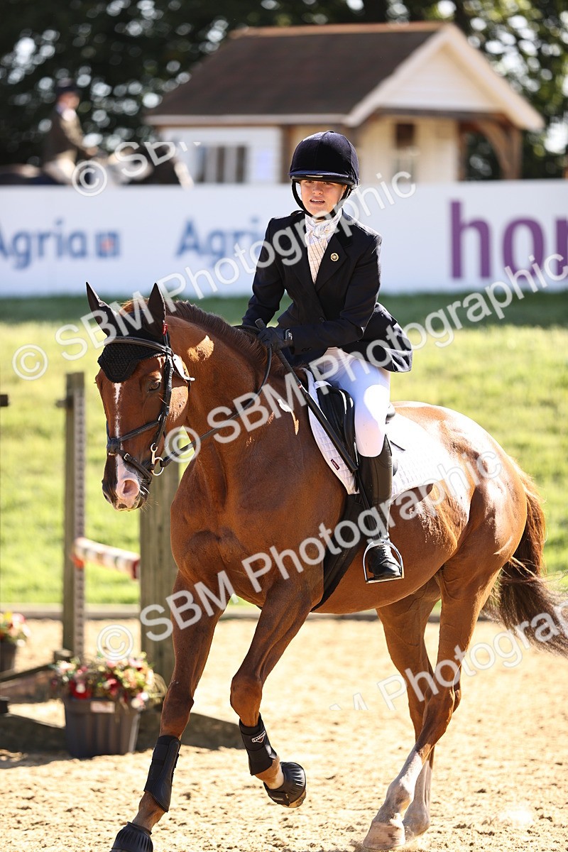 SBM_38308 - J39 - Senior 85cm Championship