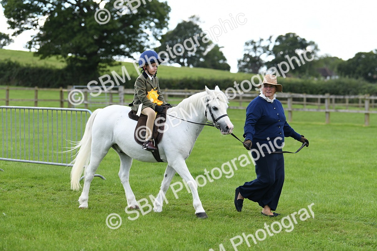 SBM_42718 - S20 - Lead Rein Mountain & Moorland Pony