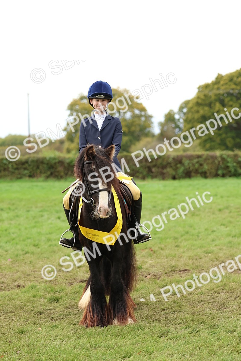 SBM_67565 - S60 - Mini Show Cob Ridden