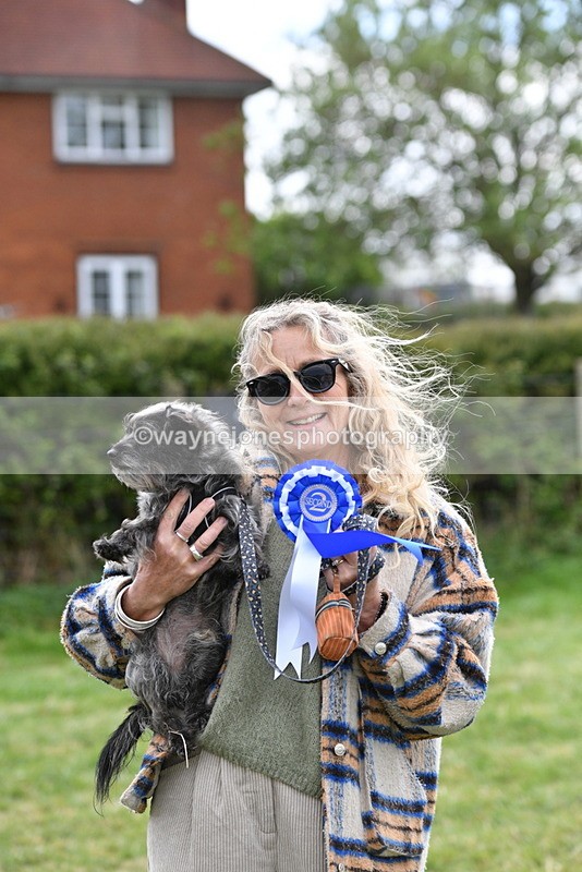 WJ5_9400 - Class 1 Best Cross Breed / Heniz 57