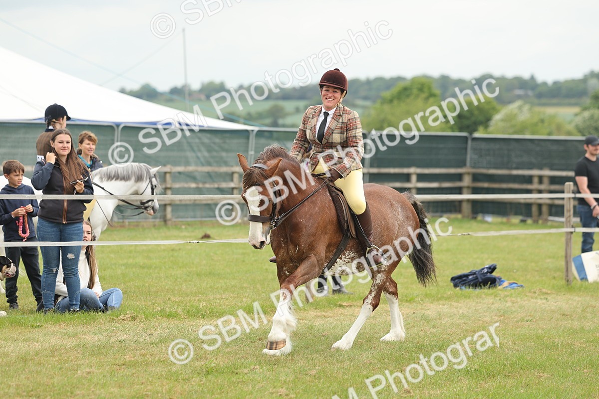 SBM_07213 - Class 76-77 - Ridden M&M Welsh Ponies