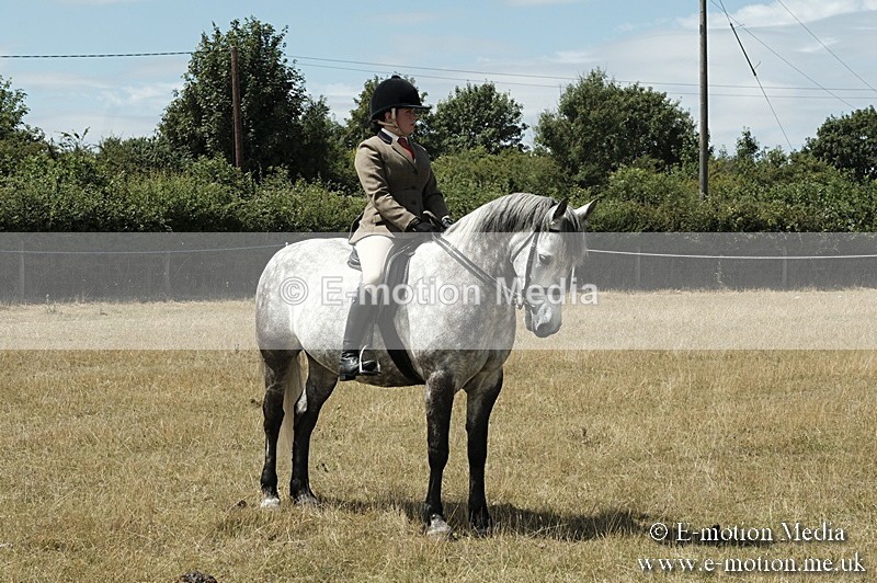 _PJP5985 - BVRC Show 2018 Ring 1