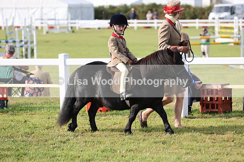 JPP_0170 - Class 14: Cornish Combination Leading Rein